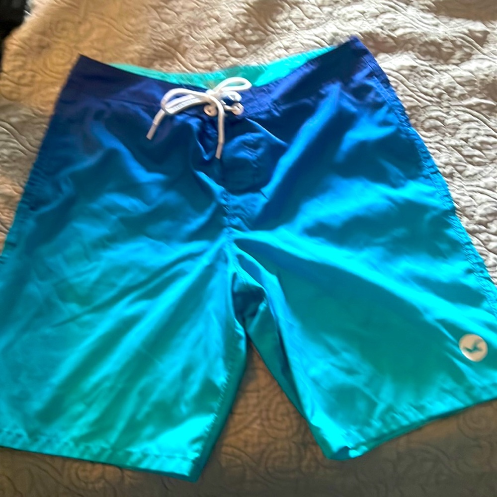 Holllister swim trunks
